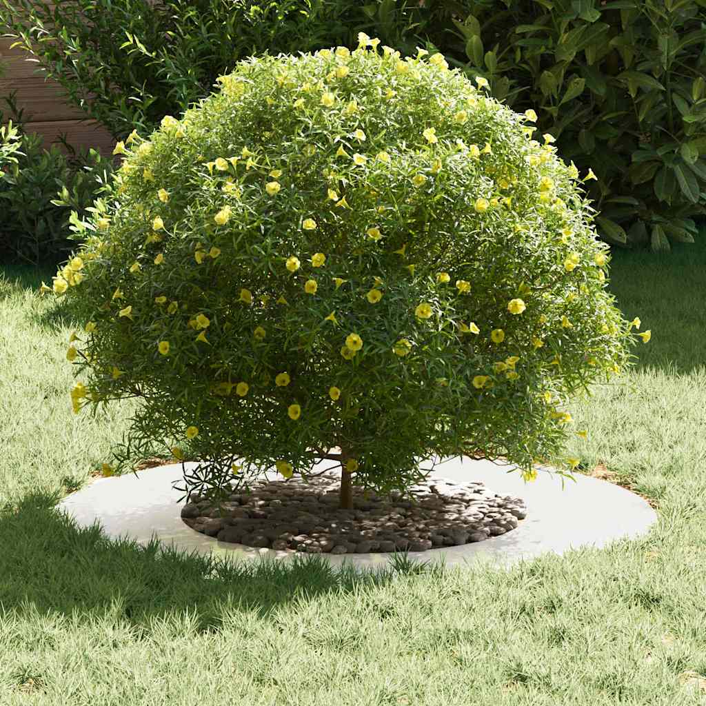 Flache Baumringe 5 pcs Silber Ø40 / 70 cm Edelstahl